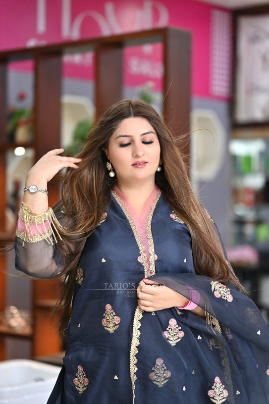 AFSANA افسانہ